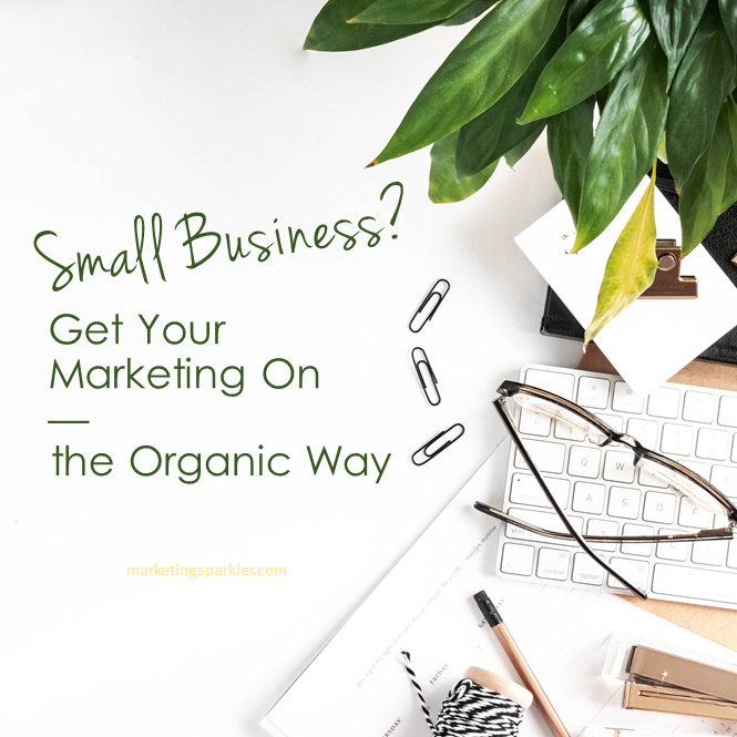Small Business Get Your Marketing On the Organic Way