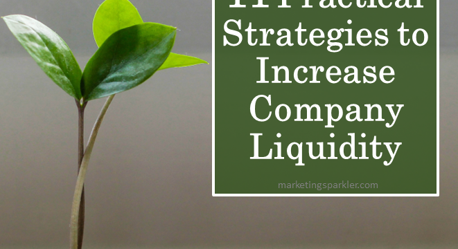 11 Practical Strategies to Increase Company Liquidity